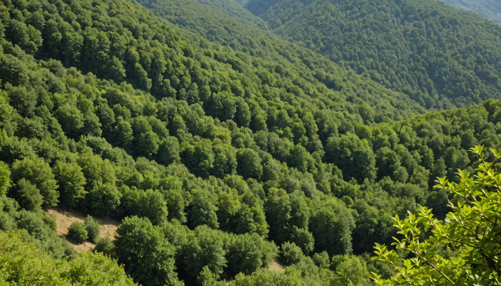 découvrez les dernières informations sur la disparition de stéphane mermet : faits connus, éléments de l’enquête et pistes explorées à ce jour.